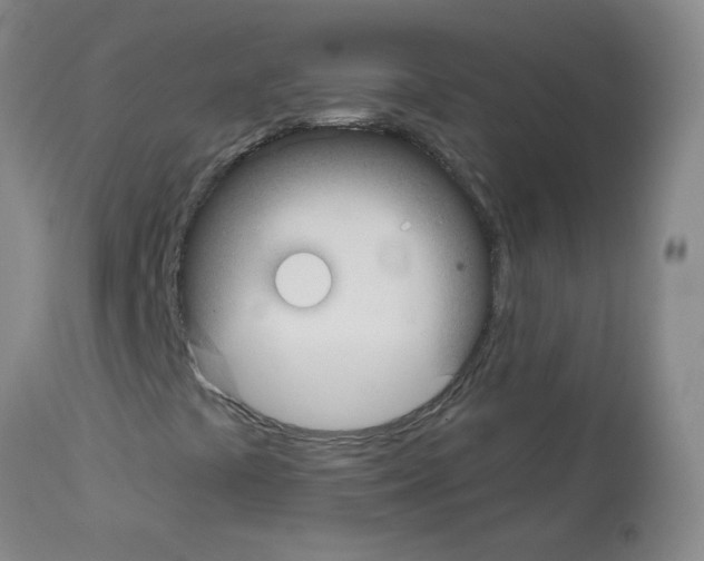 X0000113081441200910091220