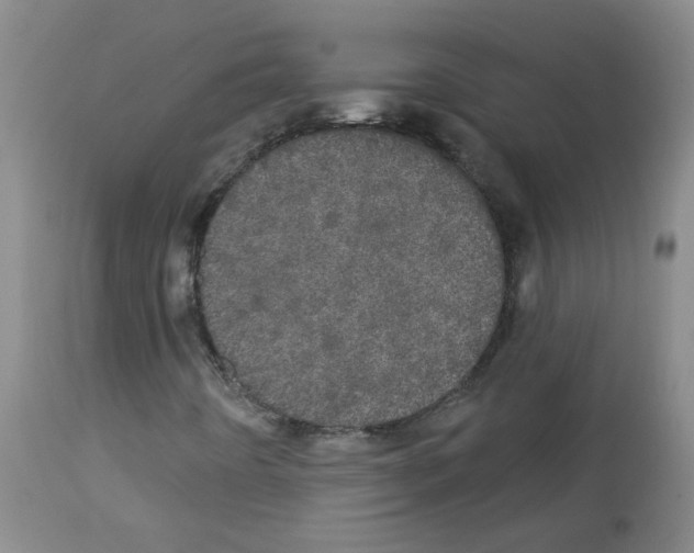 X0000113081442200910091220