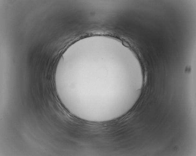 X0000113081444200910091220