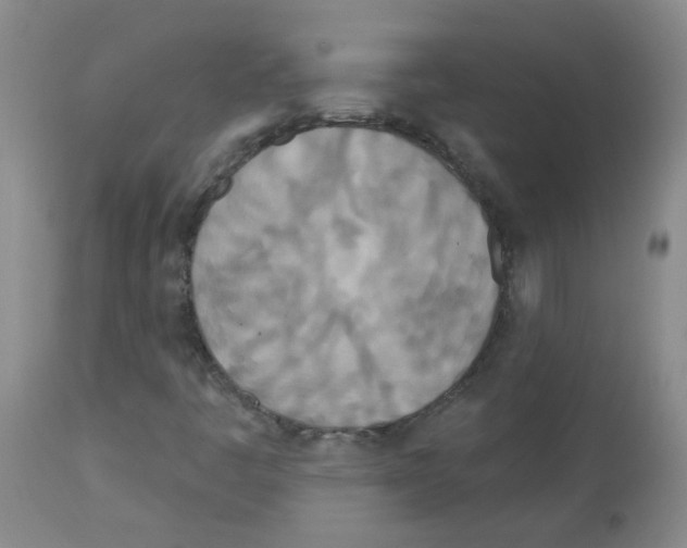 X0000113081445200910091220