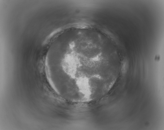 X0000113081446200910091220
