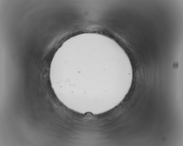 X0000113081447200910091220