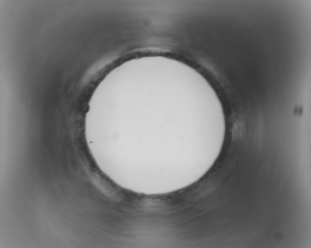 X0000113081448200910091220