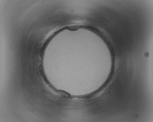 X0000113081449200910091220