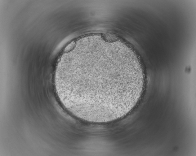 X0000113081450200910091220