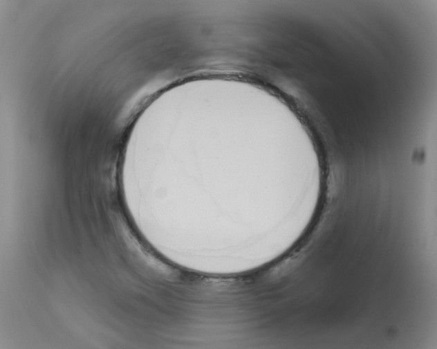 X0000113081451200910091220