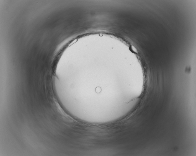 X0000113081452200910091220