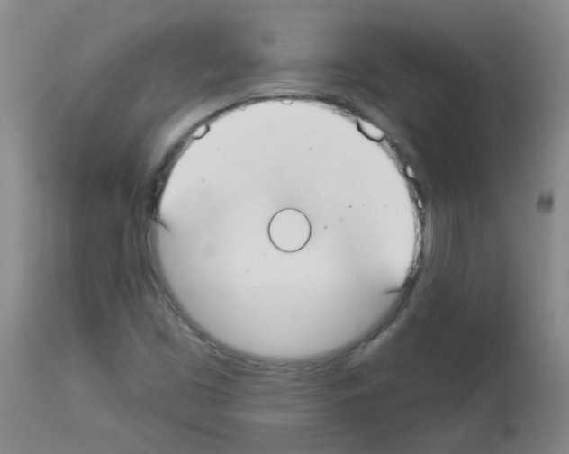 X0000113081453200910091220