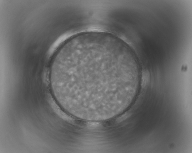 X0000113081454200910091220