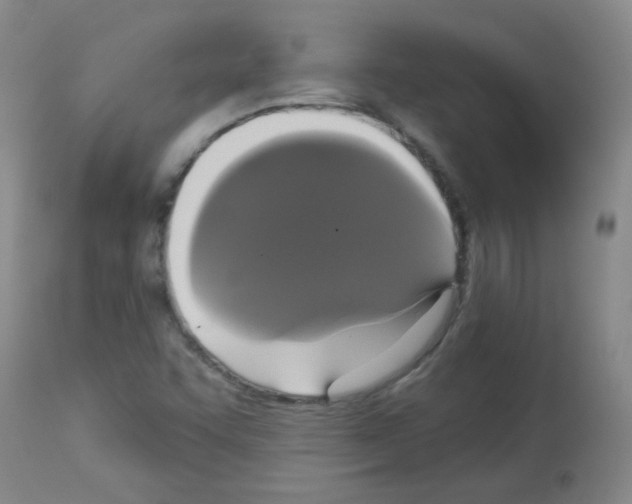 X0000113081455200910091220