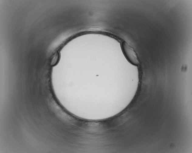 X0000113081456200910091220