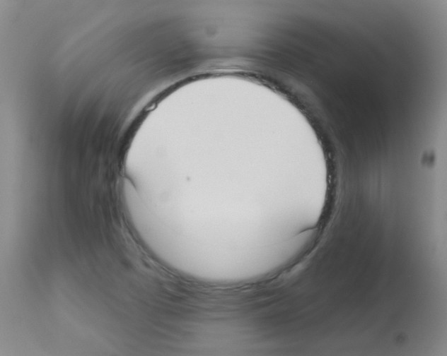X0000113081457200910091220