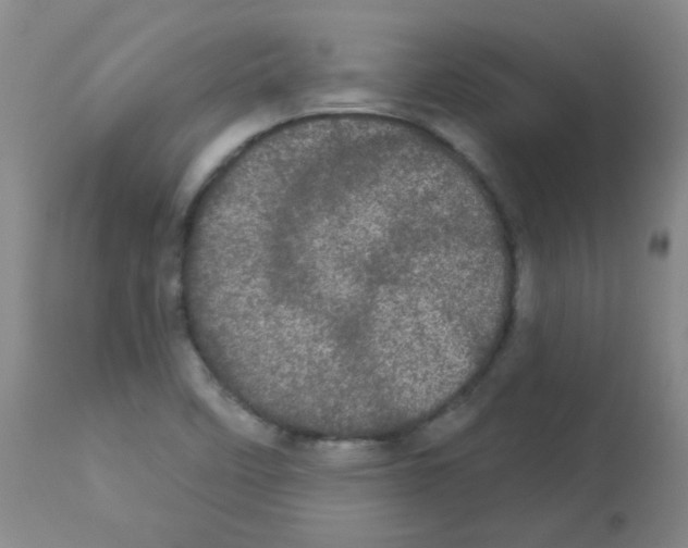 X0000113081458200910091220