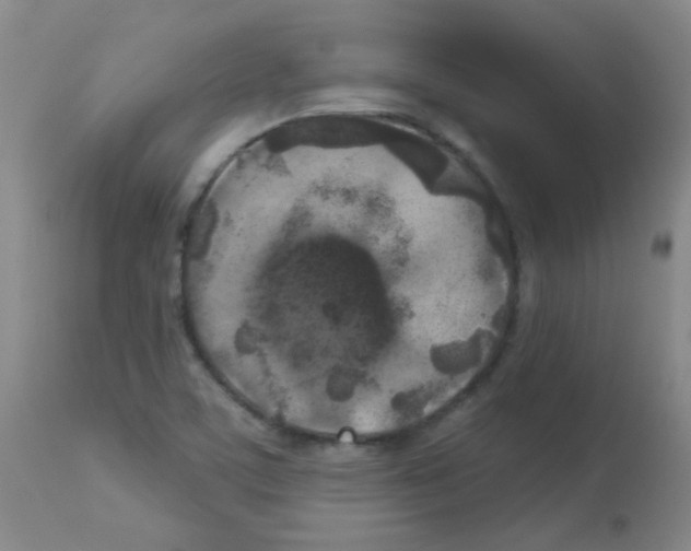 X0000113081459200910091220