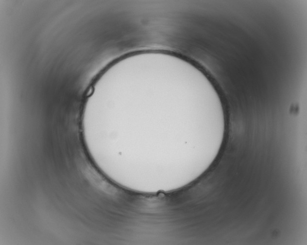 X0000113081460200910091220