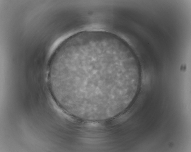 X0000113081462200910091220