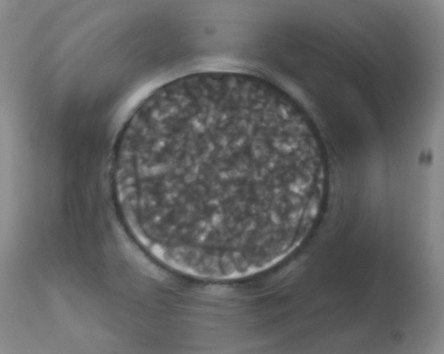 X0000113081463200910091220