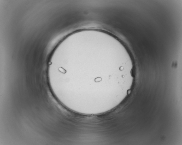 X0000113081464200910091220