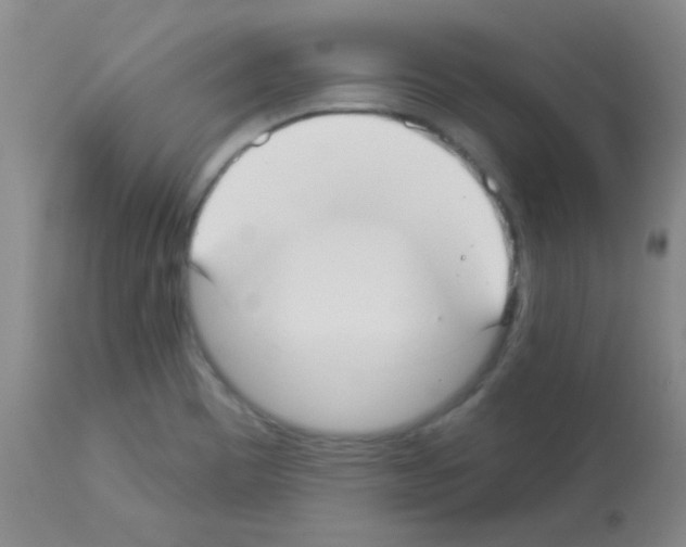 X0000113081465200910091220