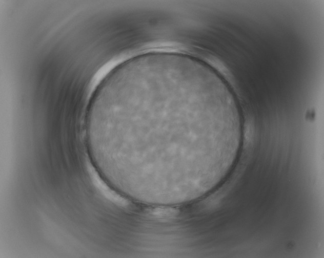 X0000113081466200910091220