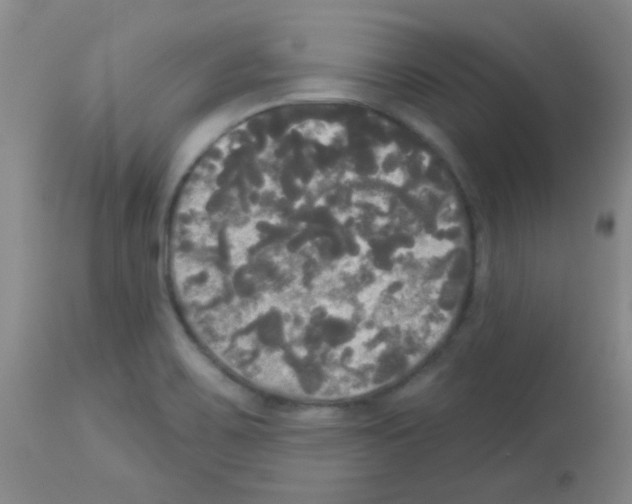 X0000113081467200910091220