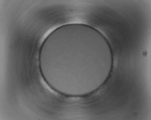 X0000113081468200910091220