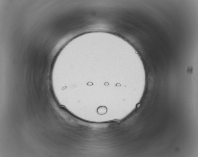 X0000113081469200910091220