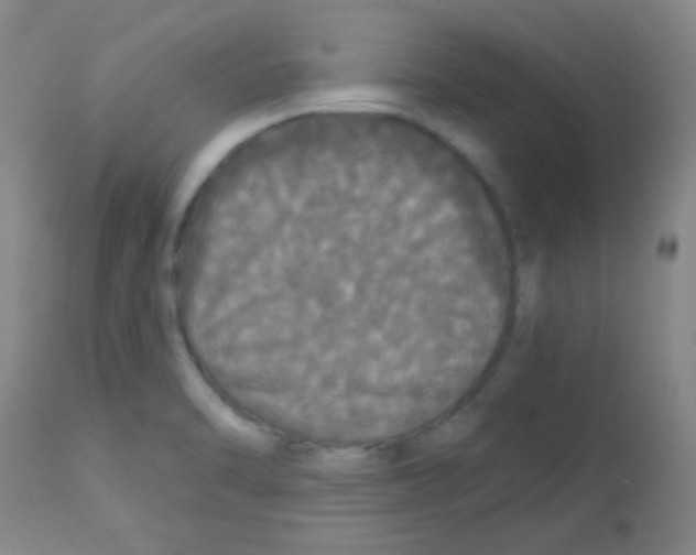 X0000113081470200910091220