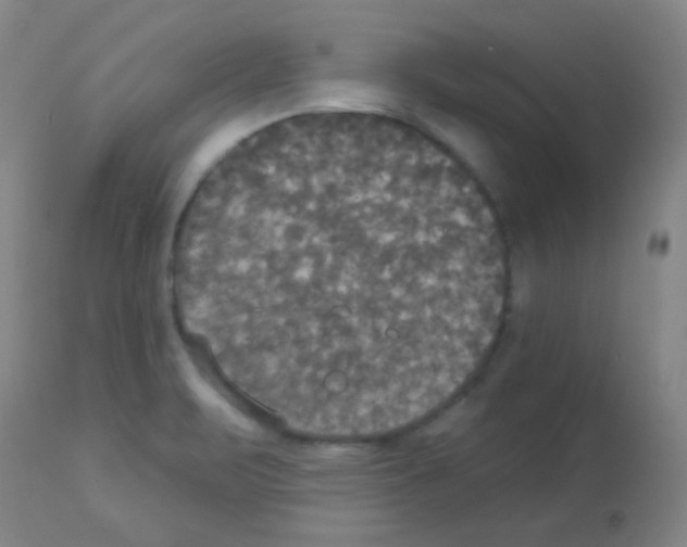 X0000113081471200910091220