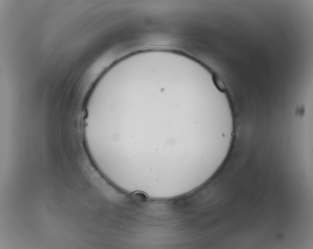 X0000113081472200910091220