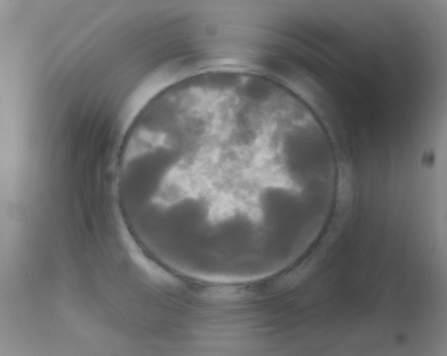 X0000113081474200910091220