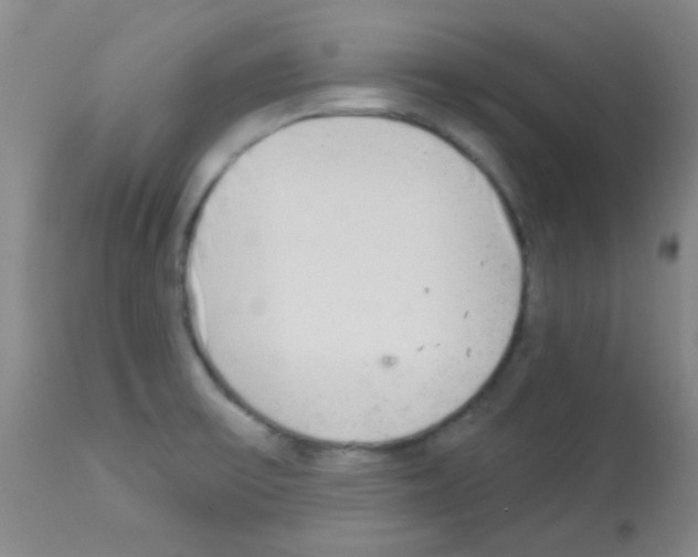 X0000113081475200910091220