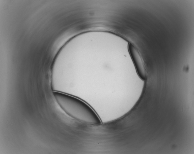 X0000113081476200910091220