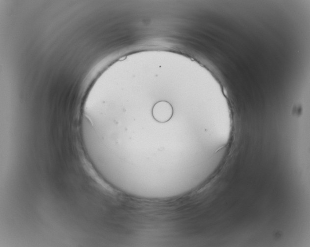 X0000113081477200910091220
