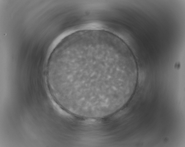 X0000113081478200910091220