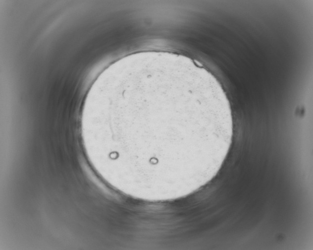 X0000113081479200910091220