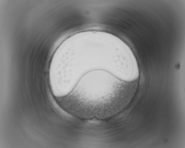 X0000113081483200910091219