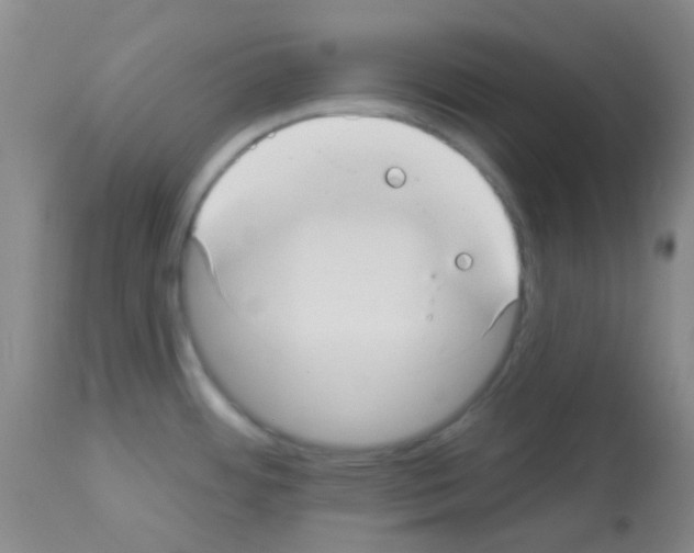 X0000113081484200910091219