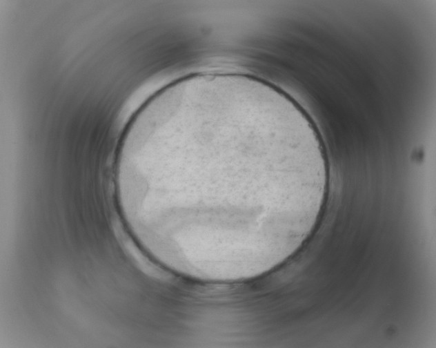 X0000113081485200910091219