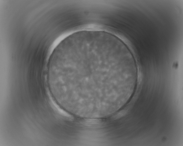 X0000113081486200910091219