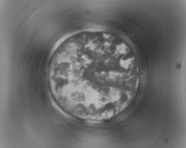 X0000113081487200910091219