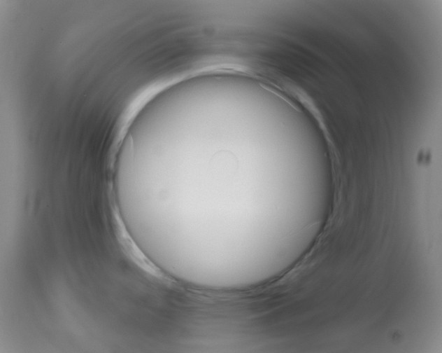 X0000113081488200910091219