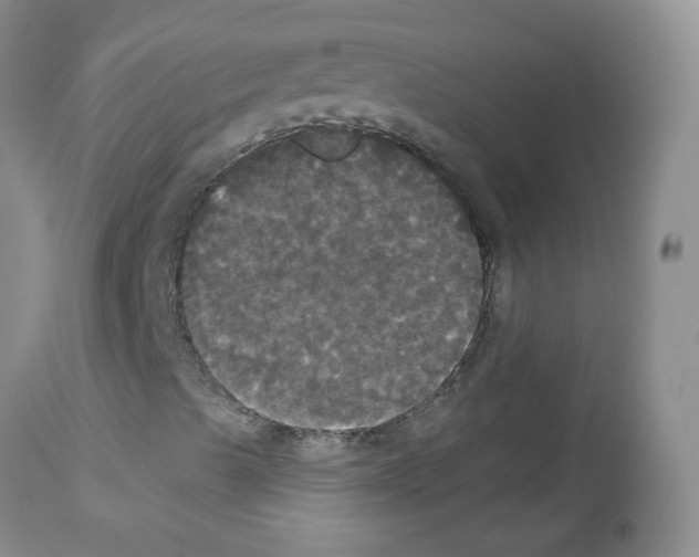 X0000113081489200910091219