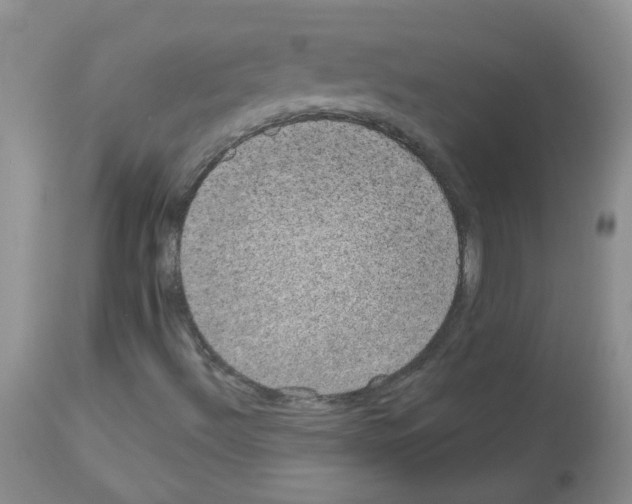 X0000113081492200910091219