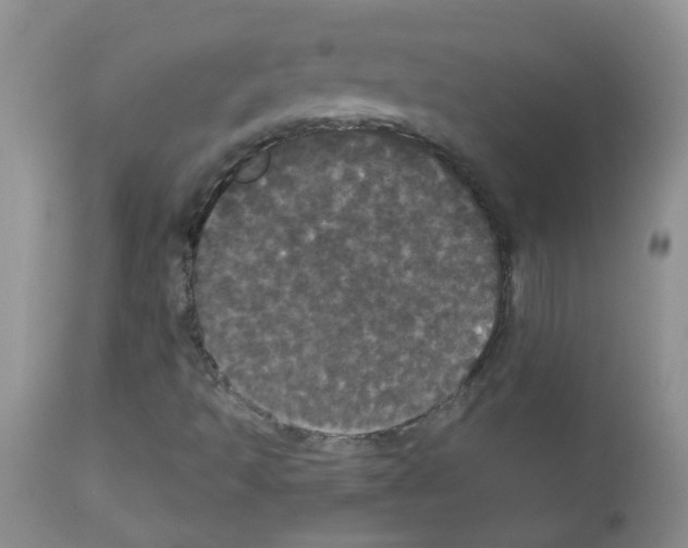 X0000113081493200910091219