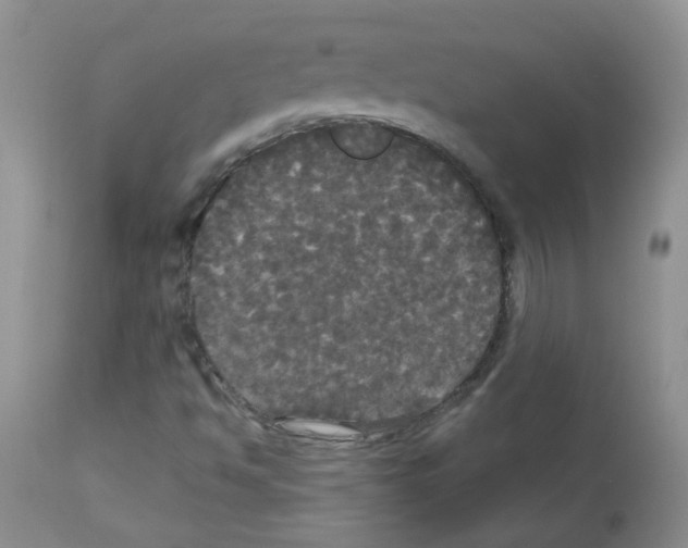 X0000113081494200910091219