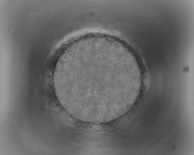 X0000113081495200910091219