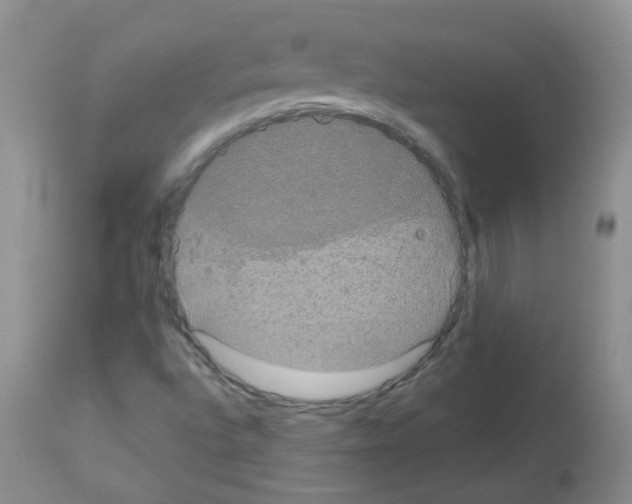X0000113081496200910091219