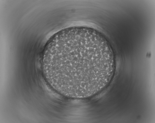 X0000113081497200910091219