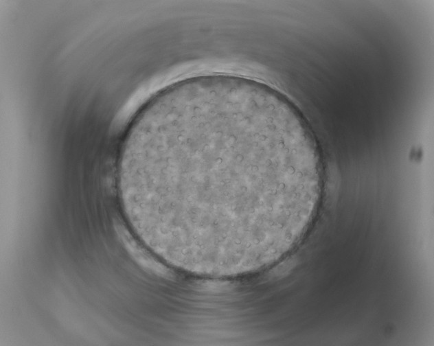 X0000113081499200910091219